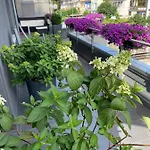Guenstiges Gruenes Ferienzimmer Mit Separater Moderner Dusche לוראך