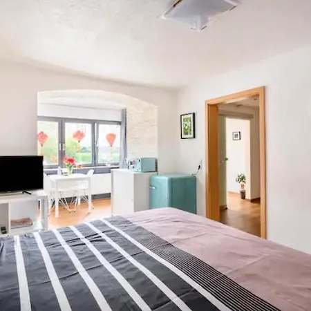 Apartman Guenstiges Gruenes Ferienzimmer Mit Separater Moderner Dusche Lörrach